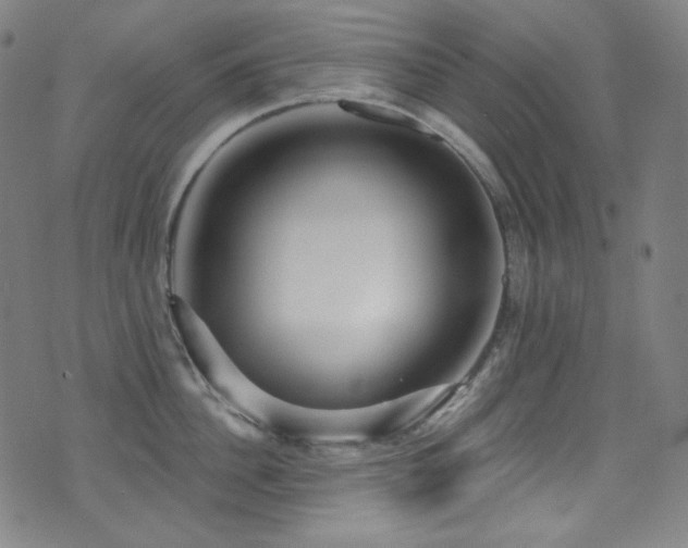 X0000075400956200609081252