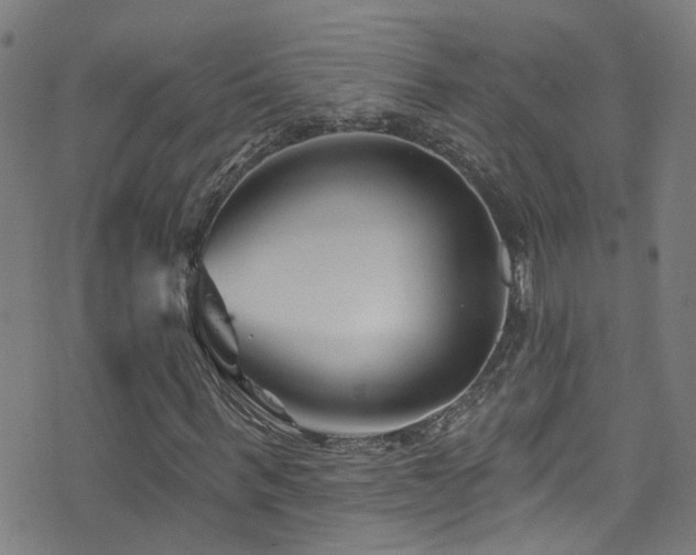X0000075400963200609081251