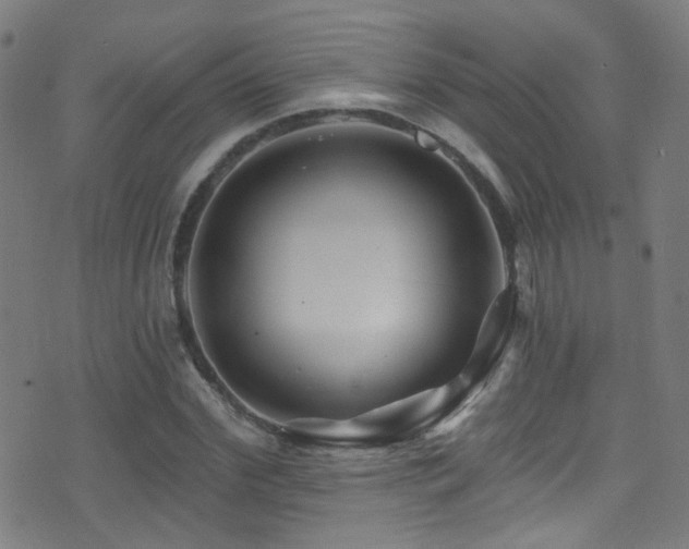 X0000075400972200609081251