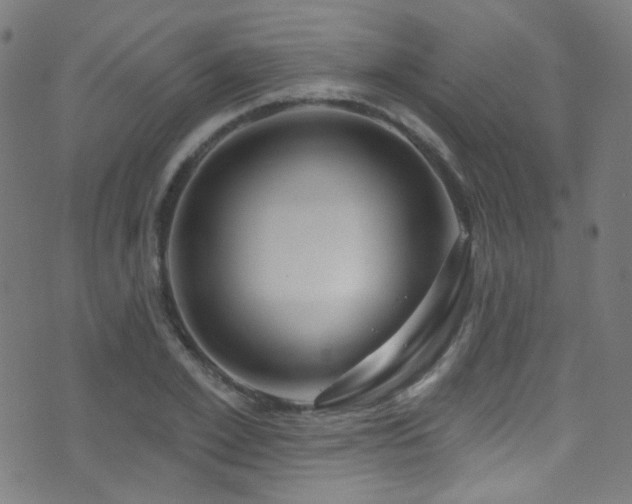 X0000075400981200609081251
