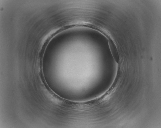 X0000075400987200609081251