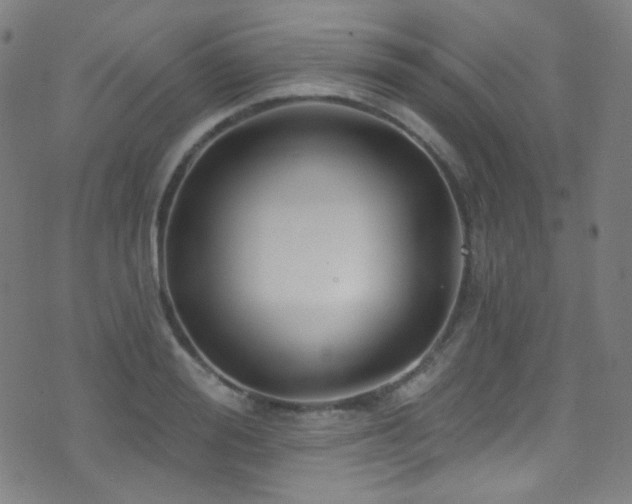 X0000075400988200609081251