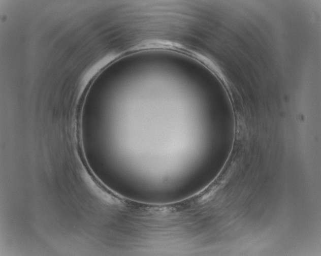 X0000075401003200609081250