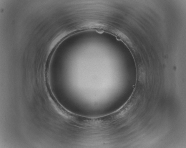 X0000075401039200609081250