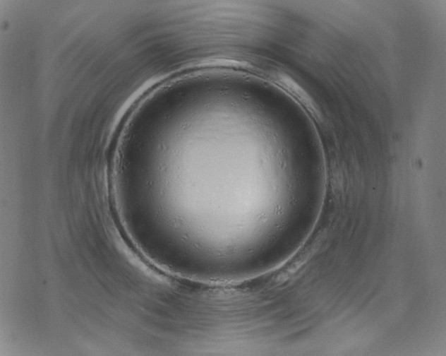 X0000075401092200609081249
