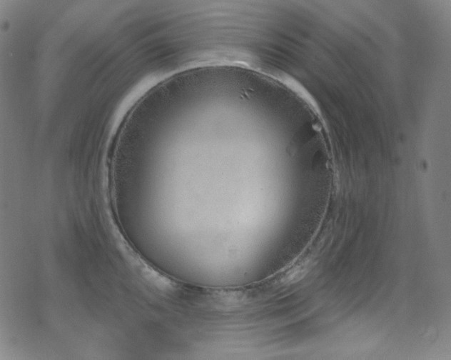 X0000075401096200609081249