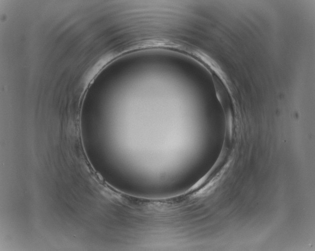 X0000075401097200609081249