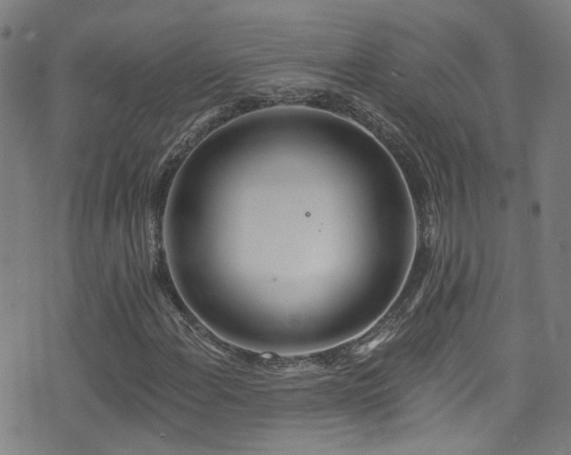 X0000075401108200609081248