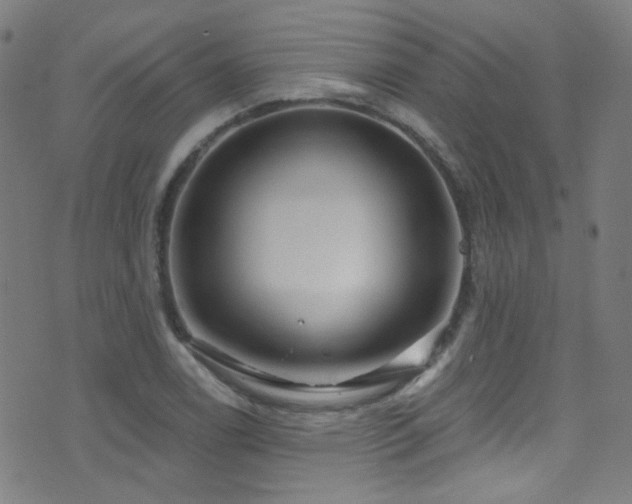 X0000075401122200609081248