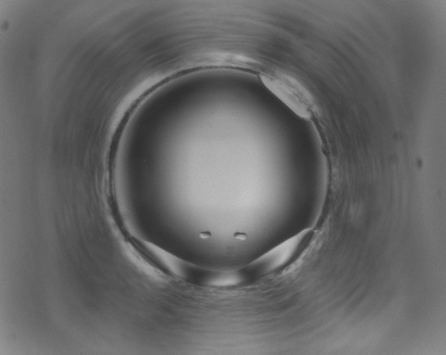 X0000075401136200609081248