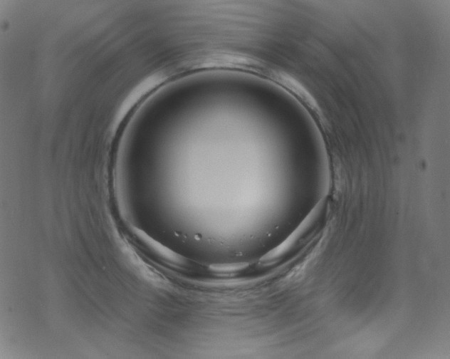 X0000075401138200609081248