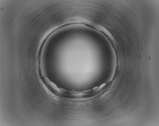X0000075401144200609081249