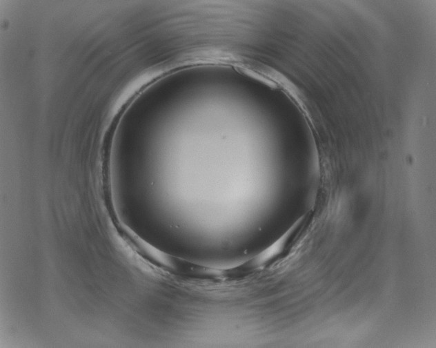 X0000075401147200609081249