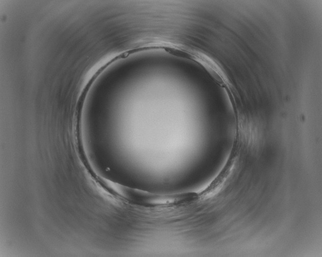 X0000075401149200609081249
