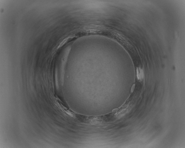 X0000075401155200609081248