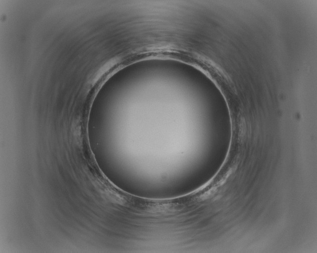X0000075401162200609081248