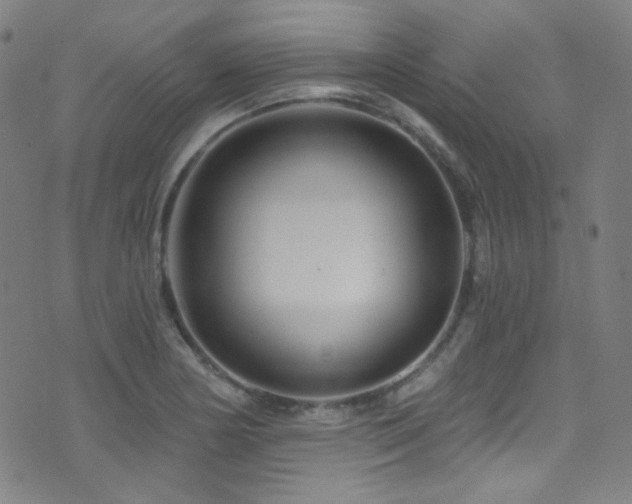 X0000075401178200609081248