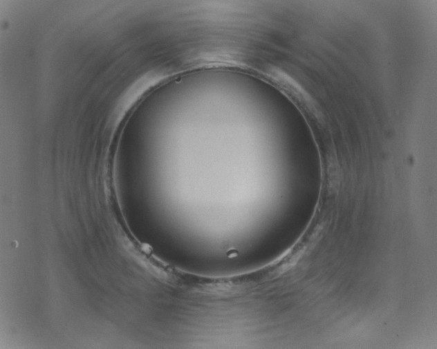 X0000075401182200609081247