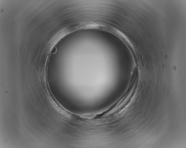 X0000075401194200609081247