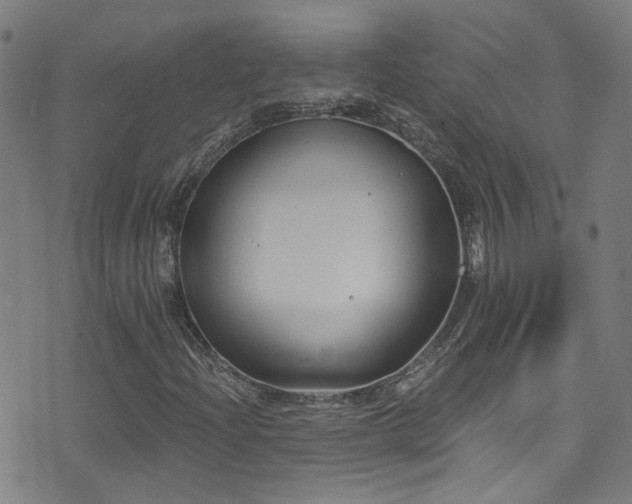 X0000075401204200609081246