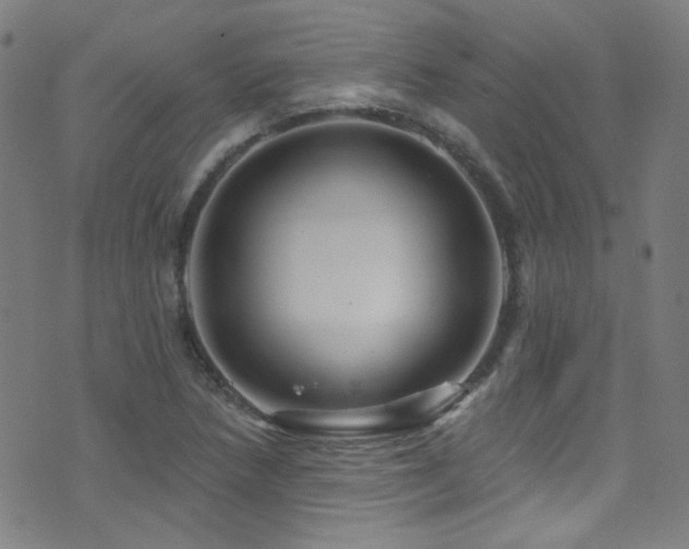 X0000075401218200609081247