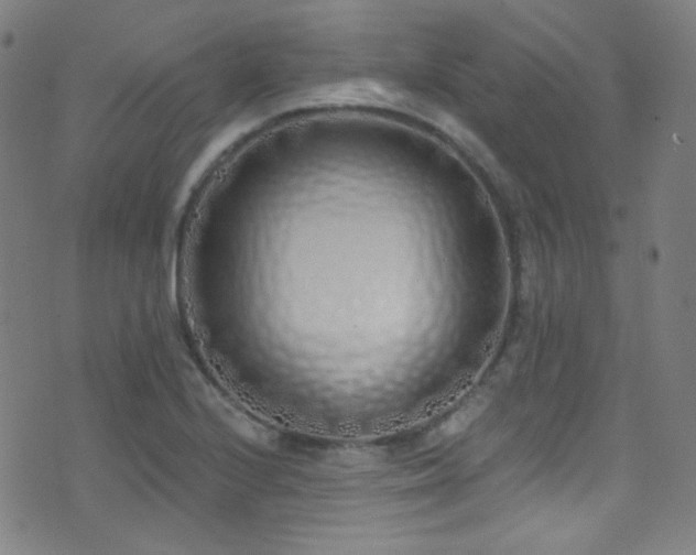 X0000075401224200609081247
