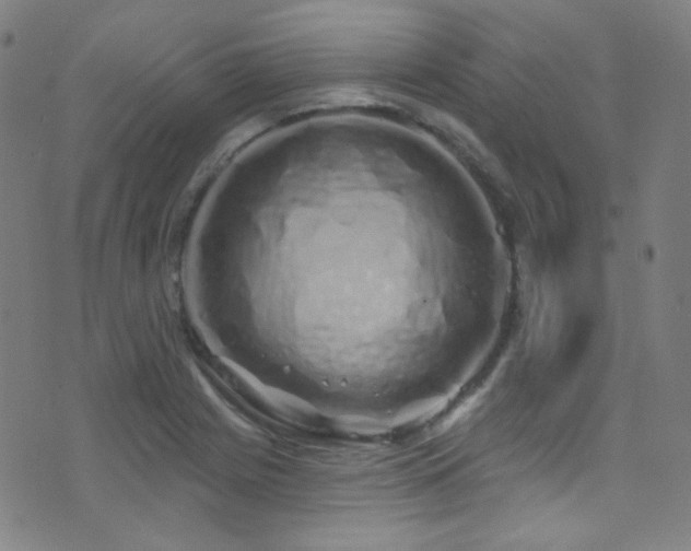 X0000075401225200609081247