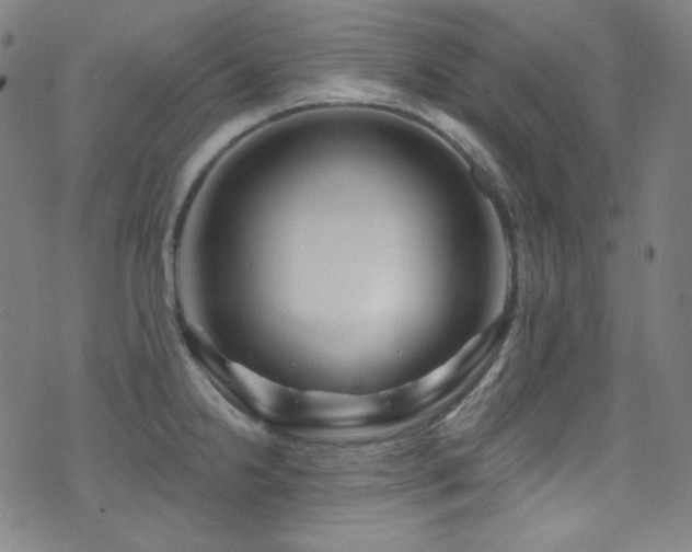 X0000075401238200609081247