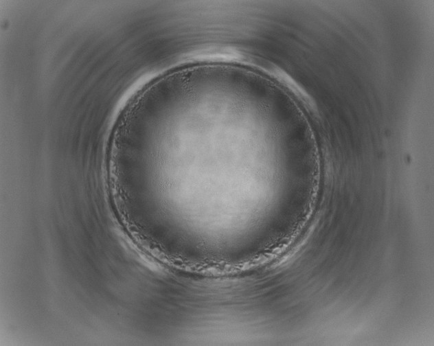 X0000075401240200609081247