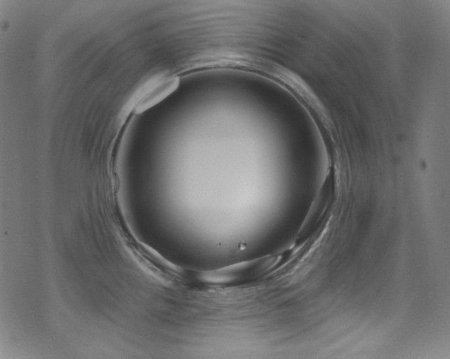 X0000075401242200609081247