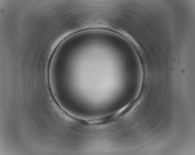 X0000075401246200609081247