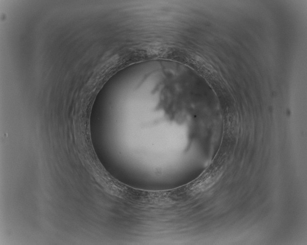 X0000075401249200609081246