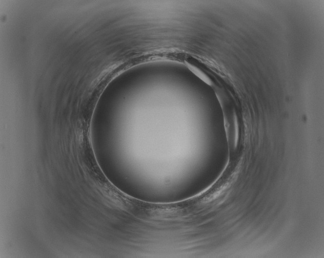 X0000075401257200609081246