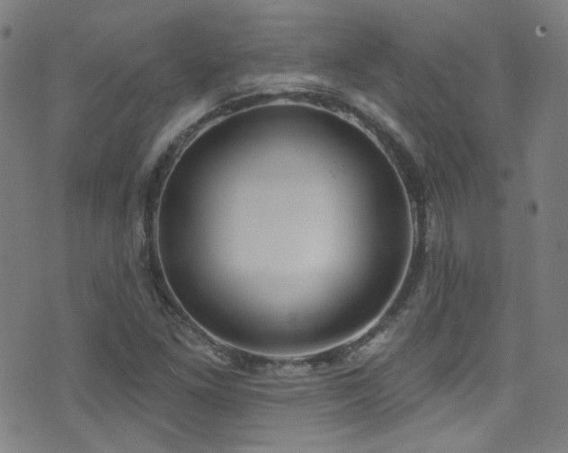 X0000075401261200609081246