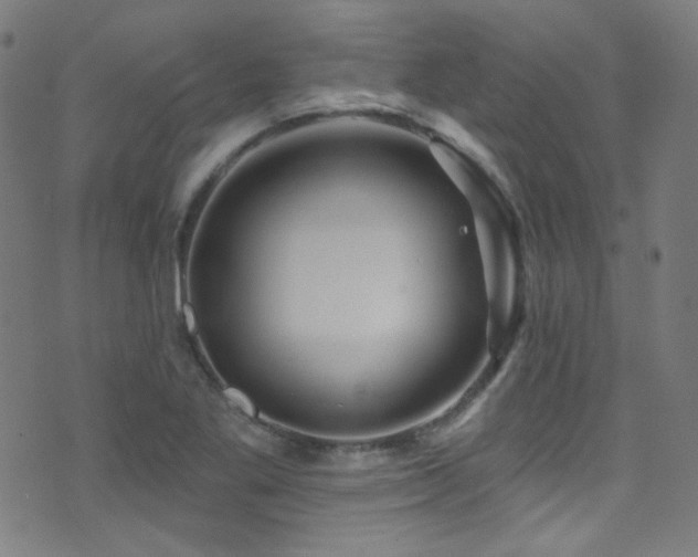 X0000075401269200609081246