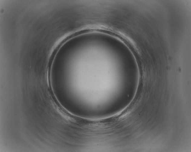 X0000075401272200609081246