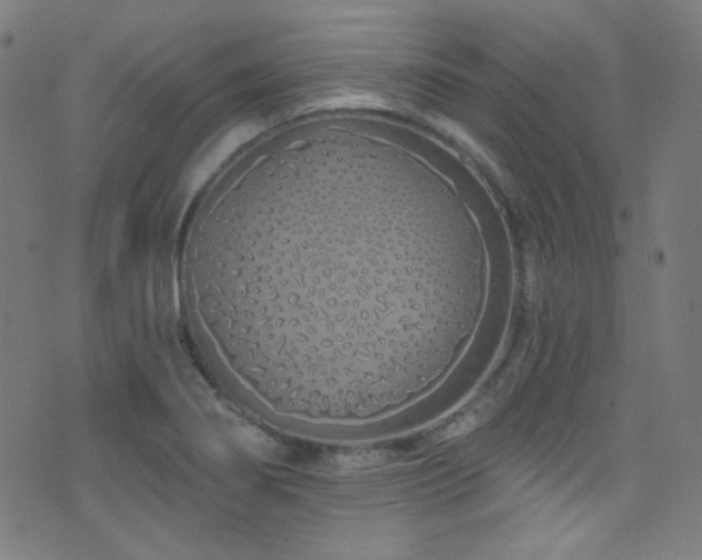 X0000075401274200609081246