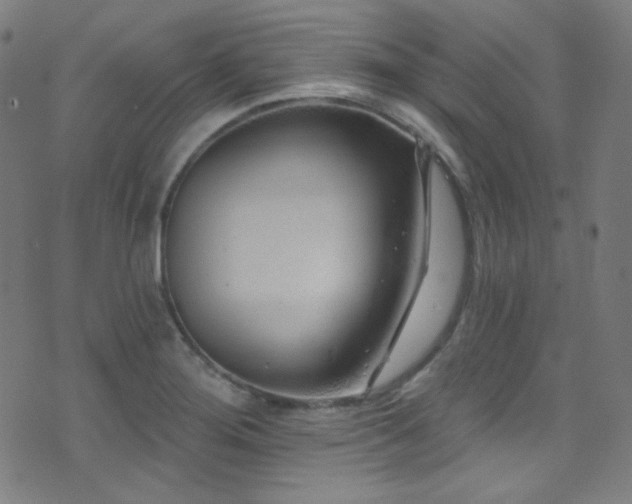 X0000075401276200609081246