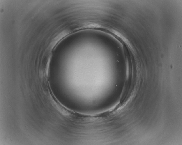 X0000075401281200609081246