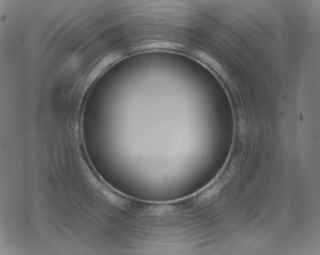 X0000075401282200609081246