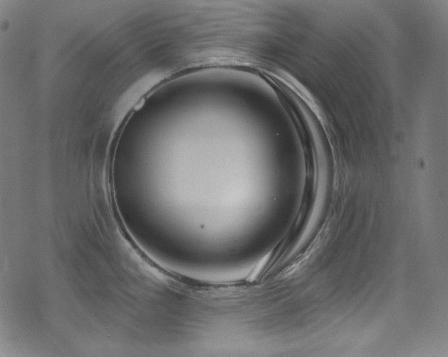 X0000075401293200609081246