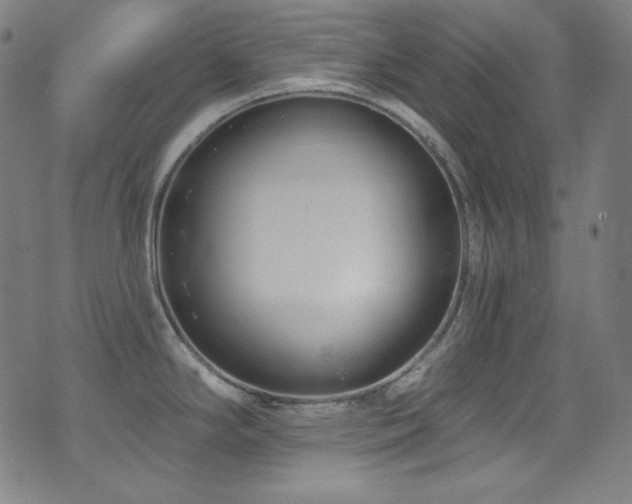 X0000075401294200609081246