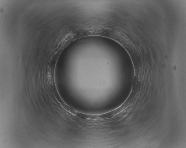 X0000075401298200609081245