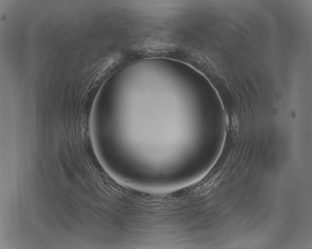 X0000075401300200609081245