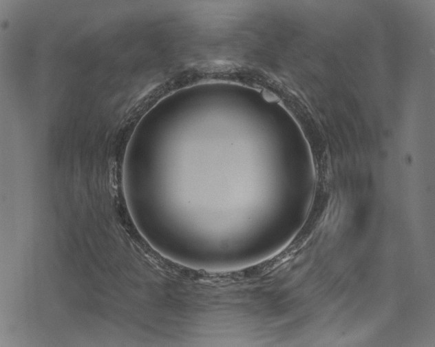 X0000075401301200609081245