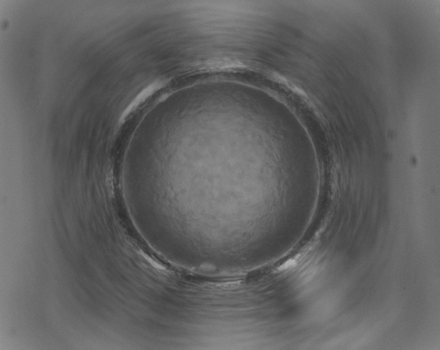 X0000075401306200609081245