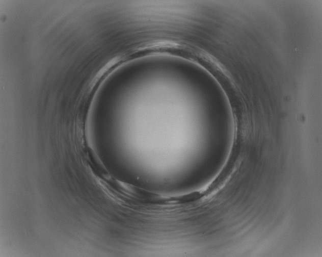X0000075401321200609081245