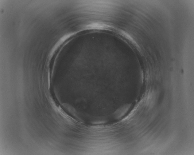 X0000075401323200609081245