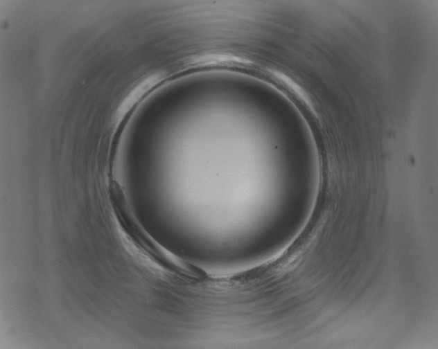 X0000075401330200609081245