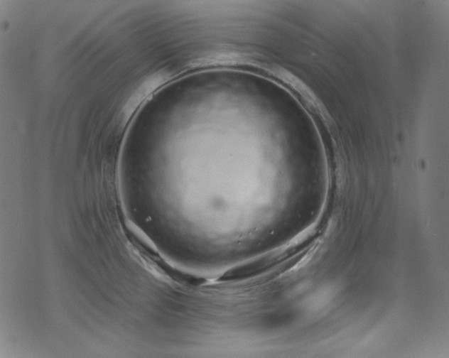 X0000075401337200609081245